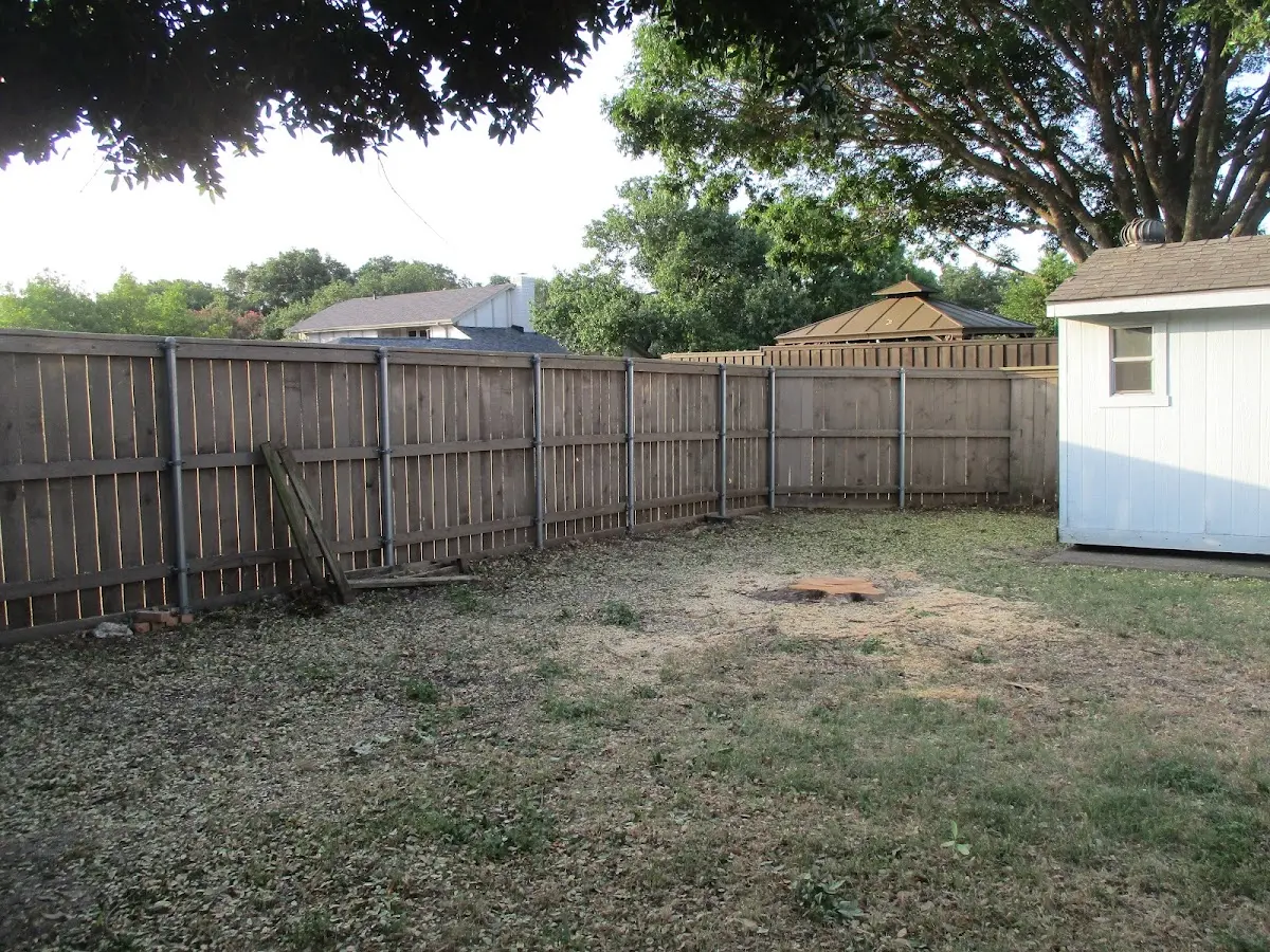 Cleared yard after professional tree removal in West Ridge